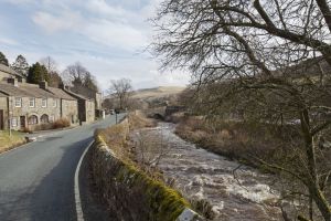 bramble bottom 13 sm.jpg